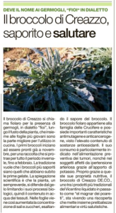 broccolo fiolaro